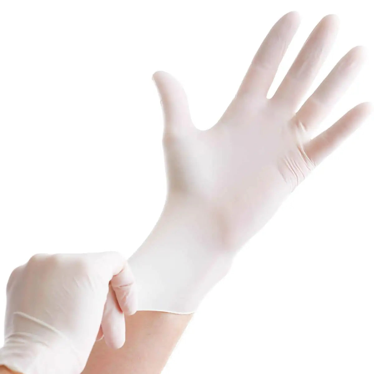 Clear Vinyl Disposable Gloves Medium