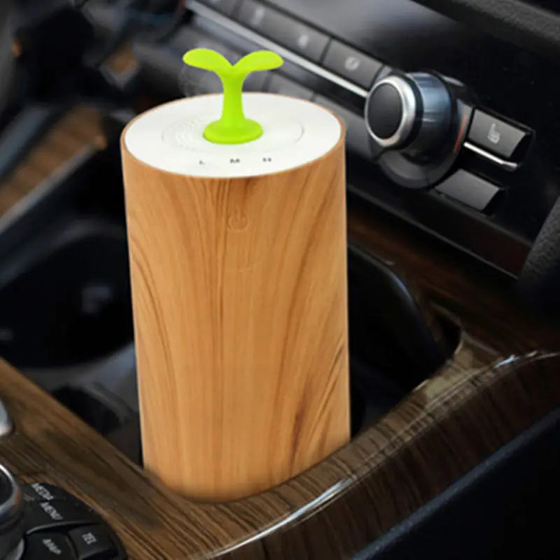Car Air Purifier and Essential Oil Diffuser